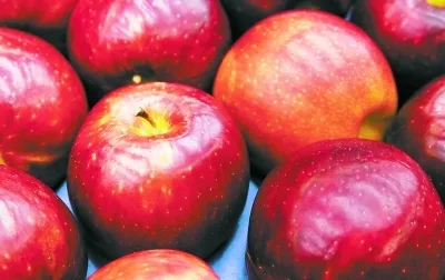 近期热议的苹果新品种“宇宙脆”要耗资千万？有这个必要吗？