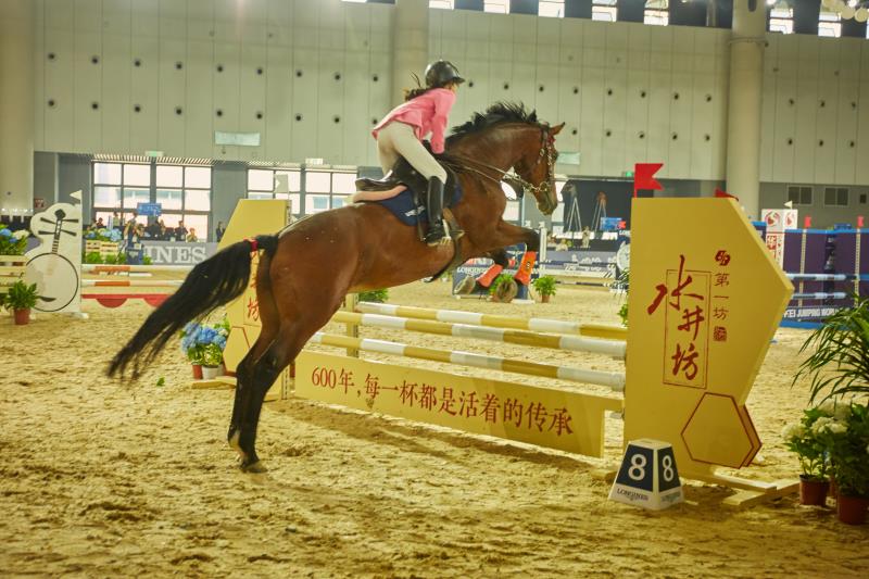 西部首个专业马术马业博览会在蓉举行