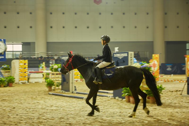 西部首个专业马术马业博览会在蓉举行