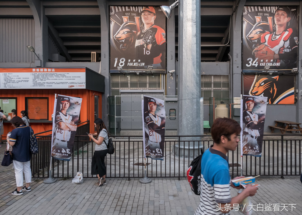 棒球在台湾意味着什么？汗水、热闹和身份认同