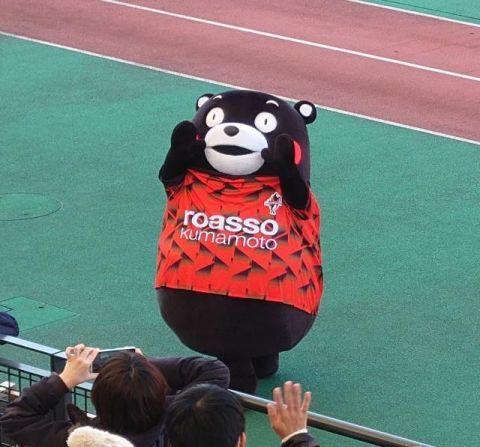 红星观察丨熊本熊在J3抢饭碗 揭秘日本足坛吉祥物如何打破次元壁