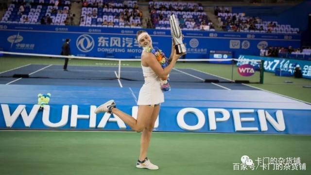 网球比赛中,四大网球公开赛是_武汉网球公开赛观众人数_2015武汉网球公开赛程